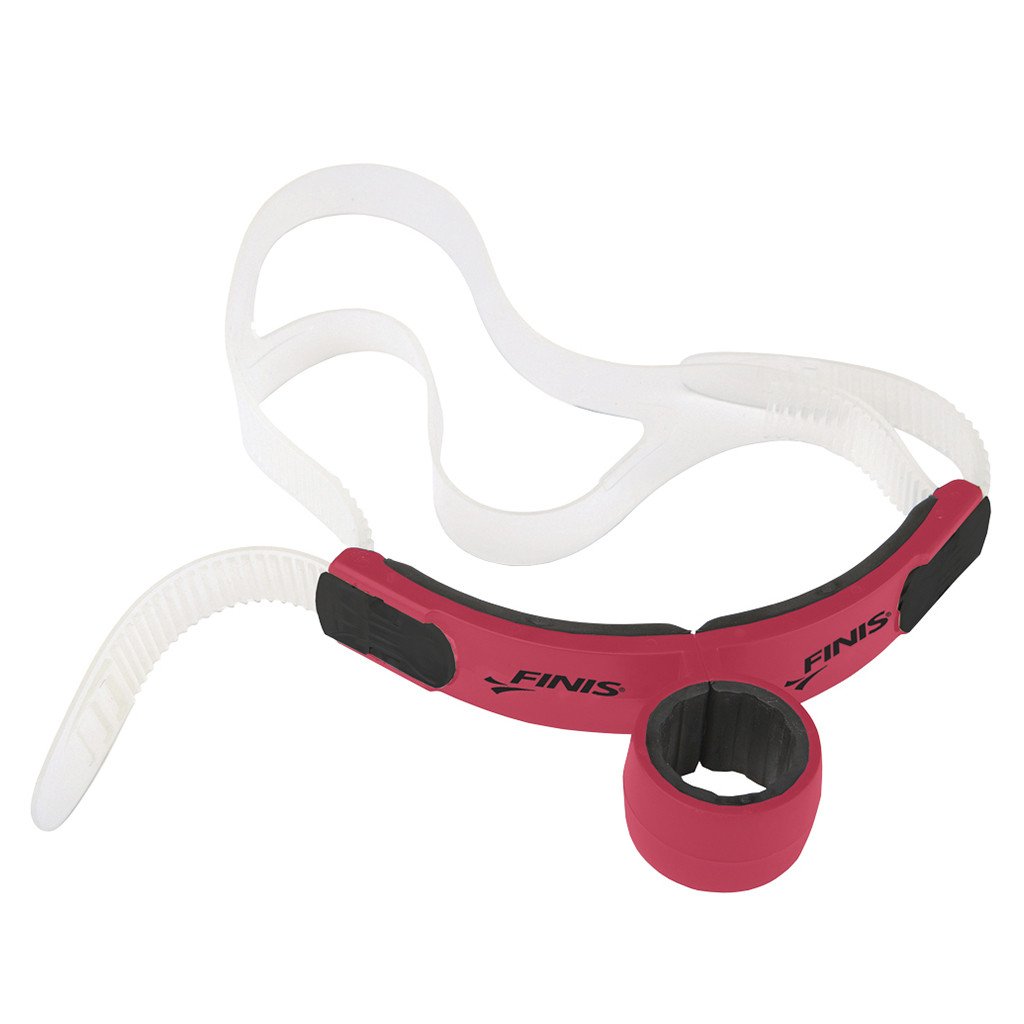 Snorkel swimmers